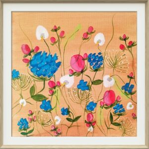 Bleuet dans sa splendeur